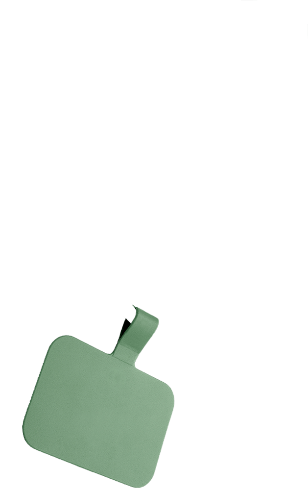 mobile olive