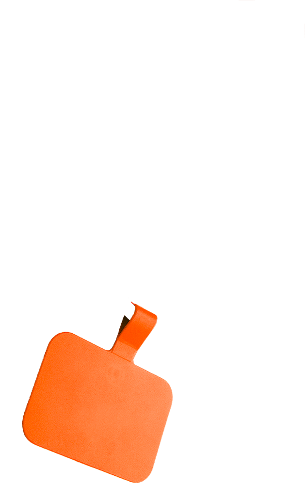 mobile orange