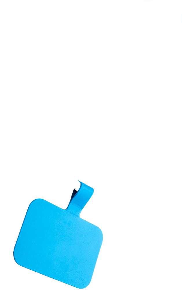 mobile sky