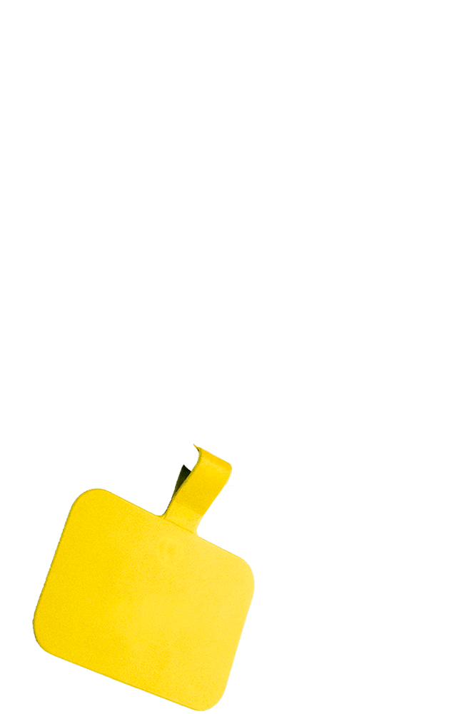 mobile sun