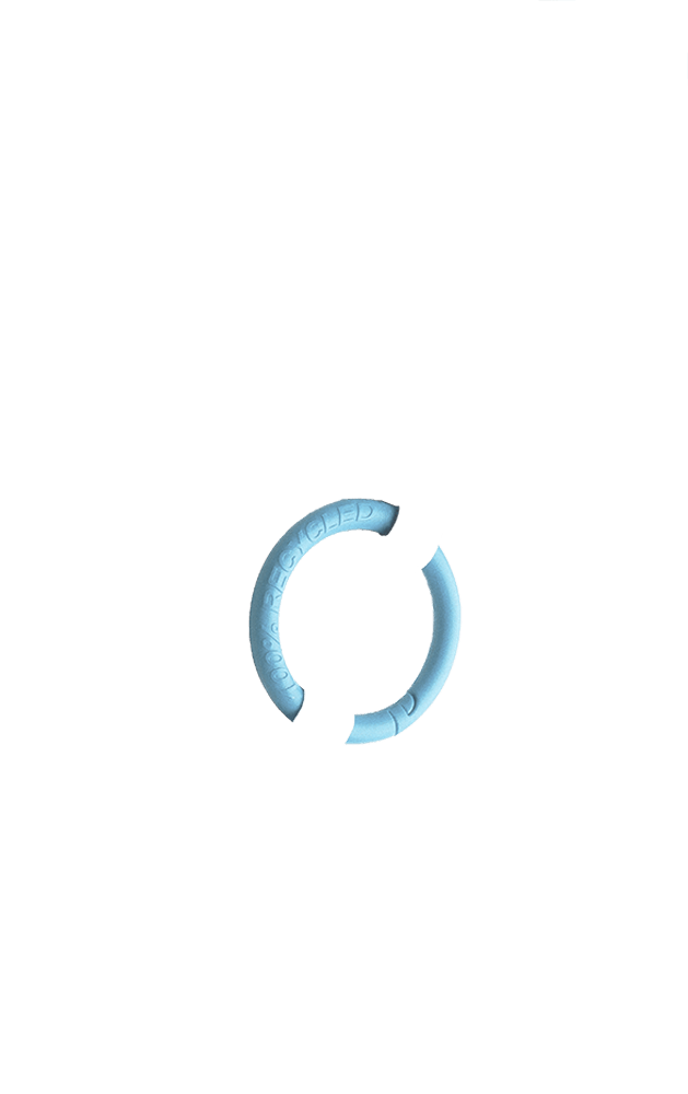 ring arctic