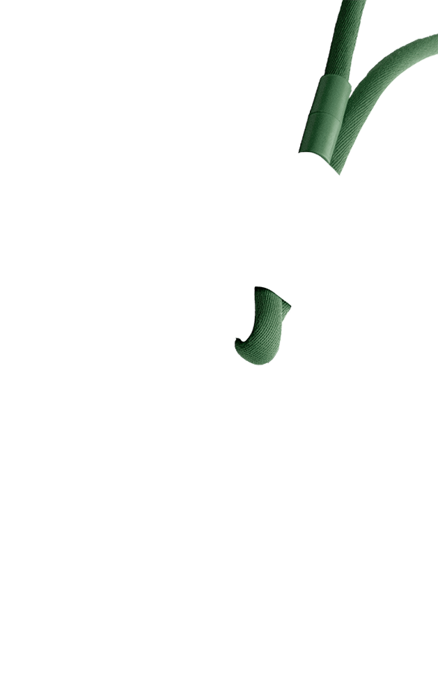 tube olive