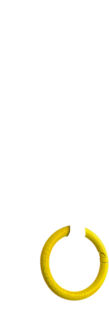 ring sun